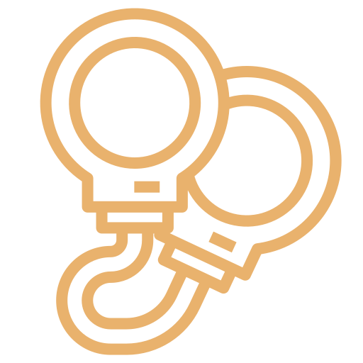 Criminal law and criminal litigation